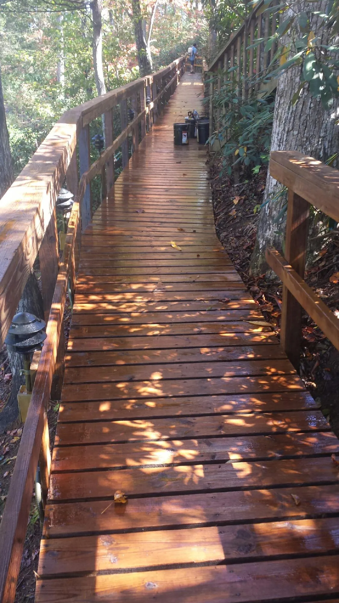 Freshly stained wood walkway winding through the woods in Mayo